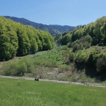 Racadau Apartment Brasov