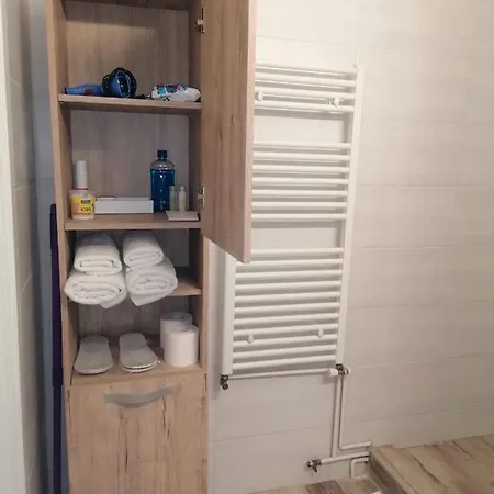 公寓 Racadau 布拉索夫