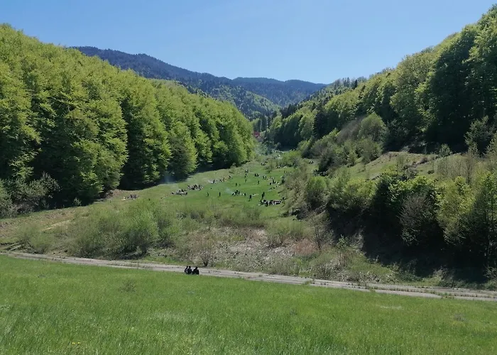 Racadau Lägenhet Braşov