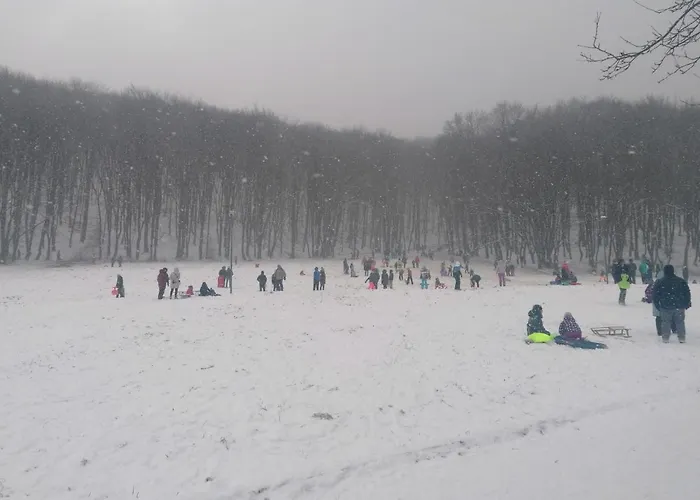 Lägenhet Racadau Braşov